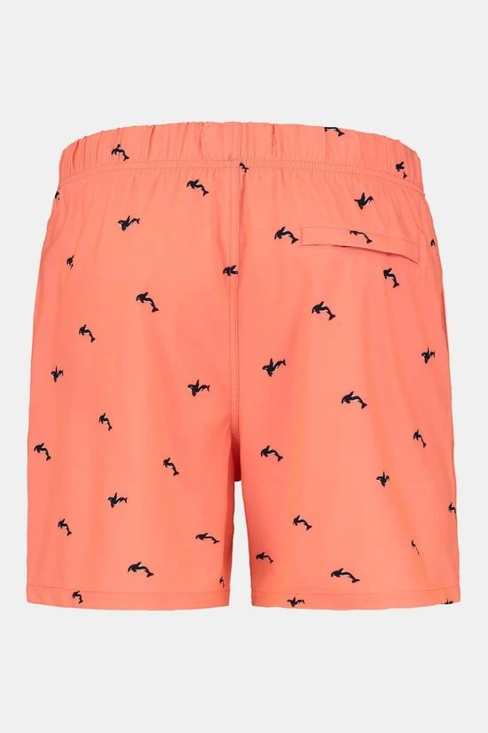 Shiwi Orca 4-Way Stretch Zwembroek 3 Shiwi Orca 4-Way Stretch Zwembroek - Afbeelding 3