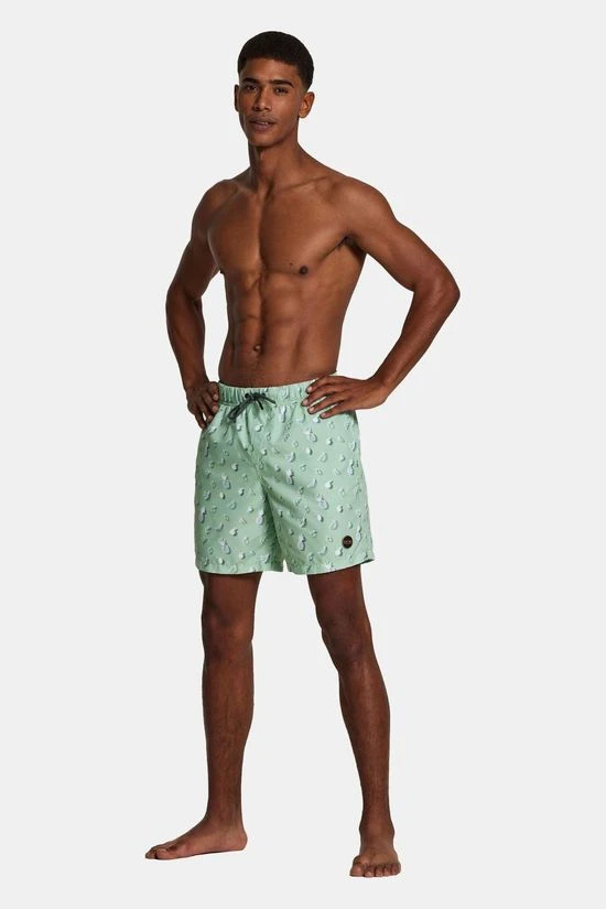 Shiwi Swimshort Fresh Fruit Zwembroek 4 Shiwi Swimshort Fresh Fruit Zwembroek - Afbeelding 4