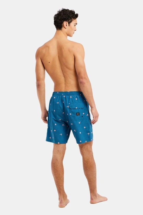 Protest Prtguincho Beachshort Zwembroek 4 Protest Prtguincho Beachshort Zwembroek - Afbeelding 4