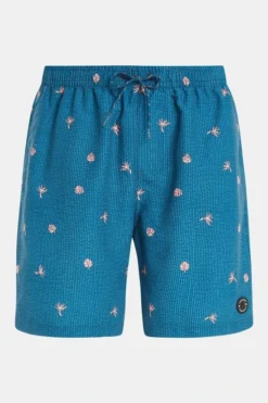 Protest Prtguincho Beachshort Zwembroek 10 Protest Prtguincho Beachshort Zwembroek -AGU Verkoopwinkel f12ica0175 4040 05 nl