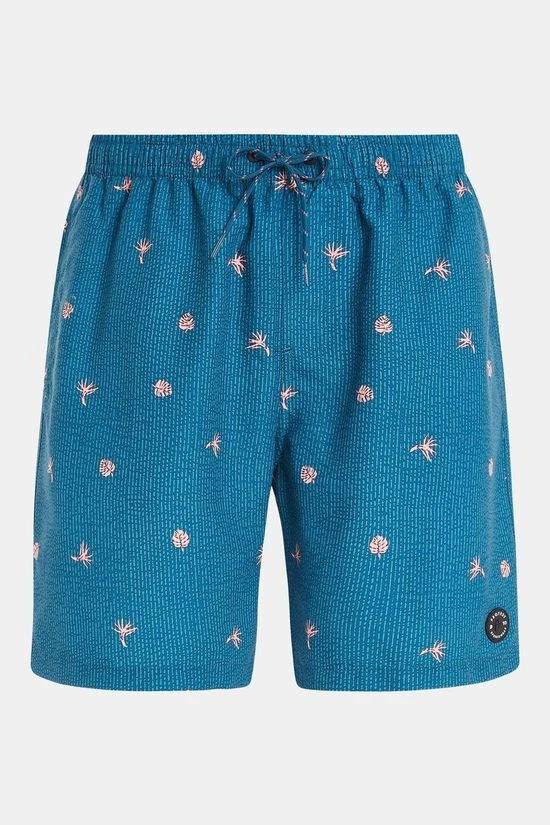 Protest Prtguincho Beachshort Zwembroek 5 Protest Prtguincho Beachshort Zwembroek - Afbeelding 5